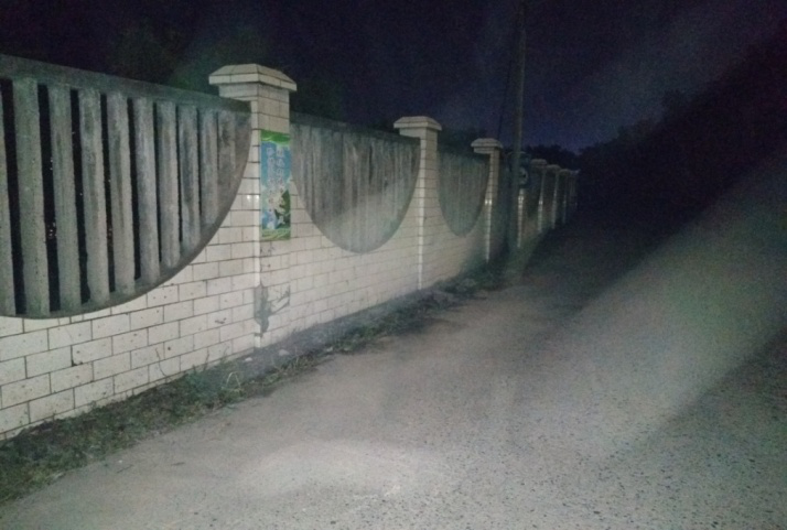 除草刷墻灑汗水，苗圃外貌換新顏