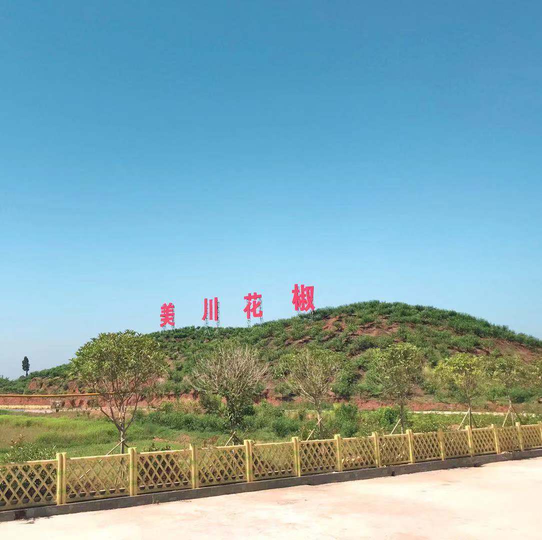 村企共創(chuàng)，建美麗宜居鄉(xiāng)村
