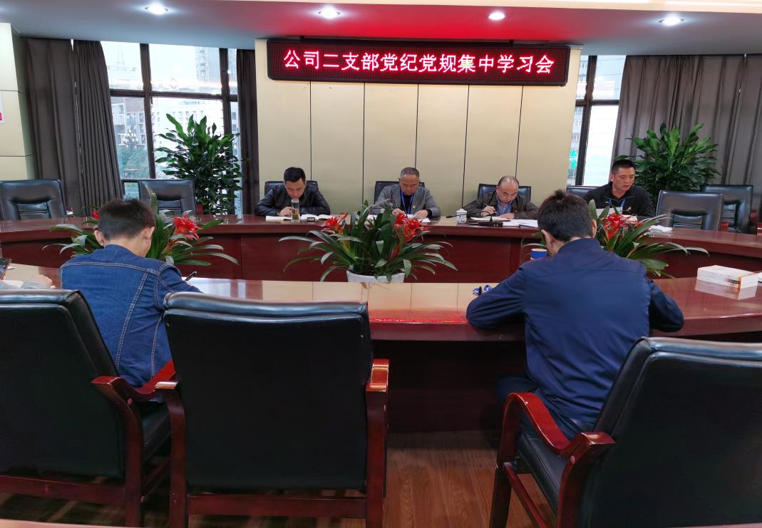 集團(tuán)公司二支部召開(kāi)十月黨員大會(huì)暨黨建業(yè)務(wù)互融共促主題黨日活動(dòng)