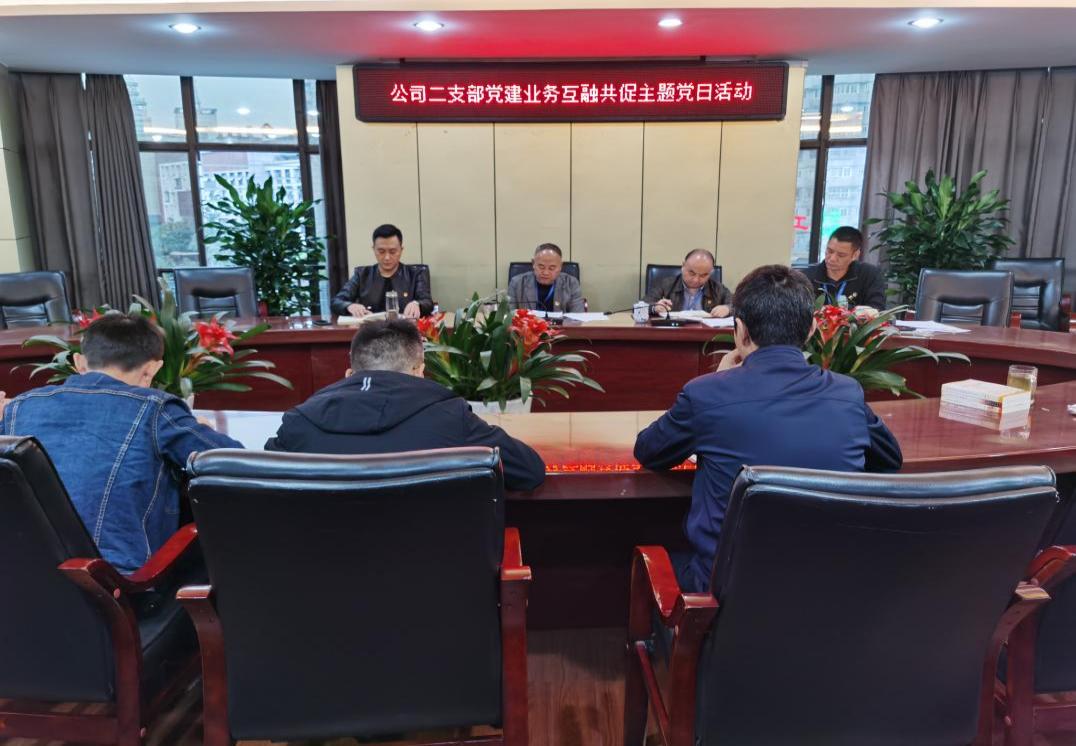 集團(tuán)公司二支部召開(kāi)十月黨員大會(huì)暨黨建業(yè)務(wù)互融共促主題黨日活動(dòng)